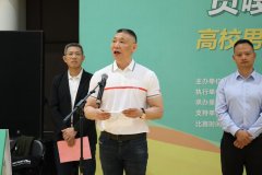 本次角逐将11日