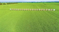 <b>四平享有“中国优良玉称号</b>